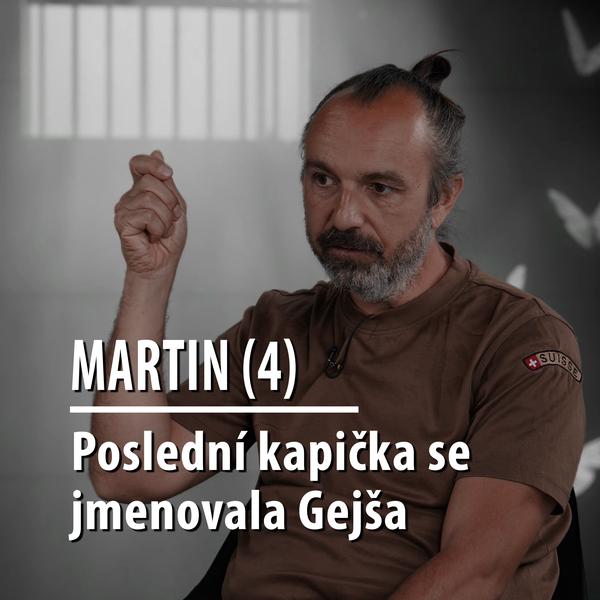 Motýl za katrem